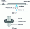 Figure 7 - OVD process