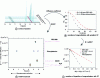 Figure 7 - From experience to data processing