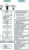 Figure 7 - Architecture of the mass measurement chain