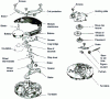 Figure 12 - Exploded view of a quartz watch movement with analog display