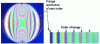 Figure 22 - Isochromatic bangs obtained with a circular polariscope in the dark field and white light, with a test pattern as a standard.