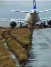 Figure 5 - Example of a runway excursion