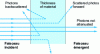 Figure 2 - A photon beam passes through a layer of material