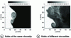 Figure 13 - Effect of viscosity difference on the mixing layer of a jet visualized by PLIF (Reynolds number = 12,000)