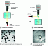 Figure 1 - Typical flow characterization setups, and examples of images obtained with a probe on the same type of two-phase flow (transparent fluids with identical optical properties).