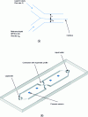 Figure 21 - Schematic representation of a) Fluidicam and b) e-VROC geometry