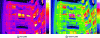 Figure 13 - Example of palettes: (a) the iron palette is unreadable due to the thermal and spatial complexity of the thermography, (b) the rainbow palette is favourable to the relative location of the different elementary zones of this thermal image.