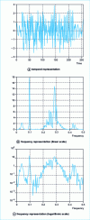 Figure 2 - Test signal representation