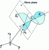 Figure 1 - Representation of the electromagnetic field at  at time t