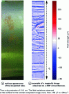 Figure 29 - Magnetic imaging performed at GREYC [33] using a magnetometer to scan a foundry steel tube.