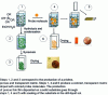 Figure 3 - Schematic representation of the sol-gel process