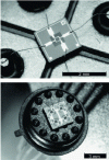 Figure 37 - Individual and networked metal oxide sensors [23]