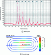 Figure 14 - Detection of a liquid sodium leak using frequency reflectometry and false-color thermal imaging [136].