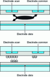 Figure 8 - Cell cut-off at the instant of discharge by the positive reset ramp, and at the end of the discharge.