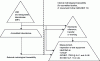 Figure 3 - Calibration traceability chain structure