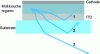 Figure 13 - Propagation modes of the generated rays