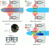 Figure 19 - Noise attenuation in a regional turboprop aircraft (doc. Lord)