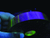 Figure 41 - Ketos ring magnetization indicator
(photo credit: SREM Technologies)