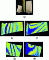 Figure 14 - Binary phase images obtained by infrared shearography of turbine blades; (a) Photograph of the two blades, (b) 589 Hz mode for the large blade, (c) 1250 Hz mode for the large blade, (d) 1350 Hz mode for the small blade, (e) 1215 Hz mode for the small blade.