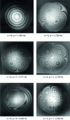 Figure 16 - Stroboscopic holographic images of the vibration modes of an embedded plate