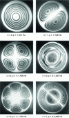 Figure 17 - Images of the vibration modes of the embedded plate, visualized by time-integration holography; nodal lines are visible