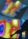 Figure 33 - Representation of the deformation of the structure's surface in pseudo-3D and false colors, obtained from the interferogram in figure 32 (Credit ISL).