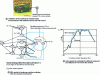 Figure 20 - Predicting radiated noise from a motor vehicle powertrain