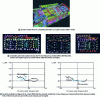 Figure 23 - Virtual SEA modeling of a motor vehicle chassis and comparison of calculated and measured velocity/force transfer for a particular observed subsystem and an excitation force on a crossmember (same transfer as shown in figure ).