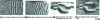 Figure 14 - TV-holography of a washer under compression (doc. HOLO 3)