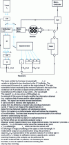 Figure 14 - Block diagram of spectrometry functions available to a confocal laser scanning microscope