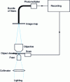 Figure 19 - Near-field optical microscopy with thinned quartz rod illumination (after D.W. Pohl, W. Denk and M. Lanz)