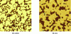 Figure 12 - Example of VPFM images: a) amplitude,
b) phase: the phase difference between the bright and dark parts of
the phase image is 180° (sample: thin layer of PbZrTiO3 obtained by sol-gel deposition, thickness 100 nm (INL), image size:
1 μm × 1 μm)