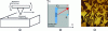 Figure 13 - a) Shear motion of the surface driving
the pitch motion of the lever, b) position of polarization in the
plane of the sample and relative to the lever and c) example of LPFM
(phase) mapping obtained on an ErMnO3 single crystal. Bright
contrast areas have polarization in the opposite plane to dark contrast
areas (size: 50 μm × 50 μm) (INL images).