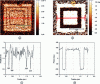 Figure 20 - Ferroelectricity test on a 33 nm-thick
PbZrTiO3 sample: a) amplitude, b) phase, c) cross-section
of the phase signal (areas of zero amplitude marked with the letters
"DW" (as in domain wall) correspond to domain boundaries), d) cross-section
of the phase signal highlighting the 180° difference between domains
of opposite polarization (the size of the outer square is 2 μm)[29].