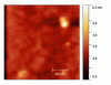 Figure 28 - Protuberance (top right) appearing when
an electric voltage of a few volts is applied to a 40 nm-thick PbZr0.2Ti0.8O3 thin film [29]