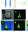 Figure 1 - a) Classic architecture of a time-division Stokes polarimeter using two liquid crystal modulators LCVR1 and LCVR2, b) example of images associated with Stokes parameters (S0, S1 top, S2 and S3 bottom) provided by a polarimetric camera using this architecture whose interpretation reveals the polarimetric content of the scene (flat screen displaying a white image, quarter-wave plate and plastic object).