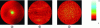 Figure 19 - Error norm images for the three systems: (a) polarimetric imaging, (b) Replica scanner, (c) Minolta™ scanner.