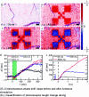 Figure 5 - Detection of retinal functional activity
by phase contrast OCT (Credit Hillmann et al.)