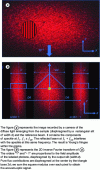 Figure 9 - Acousto-optic detection using
digital holography