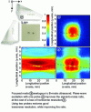 Figure 20 - Comparison of acousto-optical
images according to ultrasound excitation mode (Credit © Optica Publishing
Group)