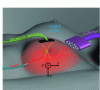 Figure 6 - Acousto-optic
imaging schematic diagram