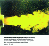 Figure 1 - Instant photography of the fluorescent particle field in a hydrodynamic flow (Laser strobe system, Oxford Lasers, distributed in France by SOPRA).