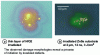 Figure 5 - Microscopic observation of laser damage on surfaces