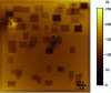 Figure 13 - SEM observation of carbon deposits left by each participant using an electron microscope (P900H60 array).