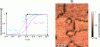 Figure 21 - (a) Effect of variations in the longitudinal spin relaxation time T1 on the photoluminescence emitted by the NV center. (b) Photoluminescence map measured on a synthetic antiferromagnetic multilayer (Pt (3 nm)/Co (1.5 nm)/Ru (0.8 nm)/Pt (0.5 nm)/Co (1.5 nm)/Ru (0.6 nm)).