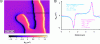 Figure 22 - (a) Quantitative mapping of the leakage field produced by walls in a perpendicularly magnetized Pt (3 nm)/Co (0.6 nm)/Pt (0.4 nm) film. (b) Analysis of the profile marked on map (a) using the model described by equation (15) and the parameters obtained during prior calibration of the tip.