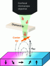 Figure 3 - Schematic diagram of an NV center scanning magnetometer, in which an AFM is coupled to a confocal microscope.