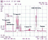 Figure 14 - Recording of the RF spectrum detected in the 200 MHz band – 1,200 MHz. The antenna is circularly polarized and oriented towards the south.