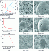 Figure 5 - Evolution of the average droplet size d of an emulsion and SEM visualization of different macropore sizes obtained from emulsions with distinct ρh volume fractions.