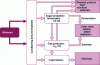 Figure 4 - Schematic diagram of the biorefinery and its challenges